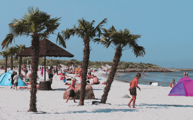 Palmestranden en sommerdag med badegæster på stranden