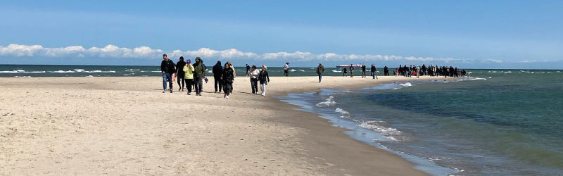 Grenen en sommerdag med smuk blå himmel