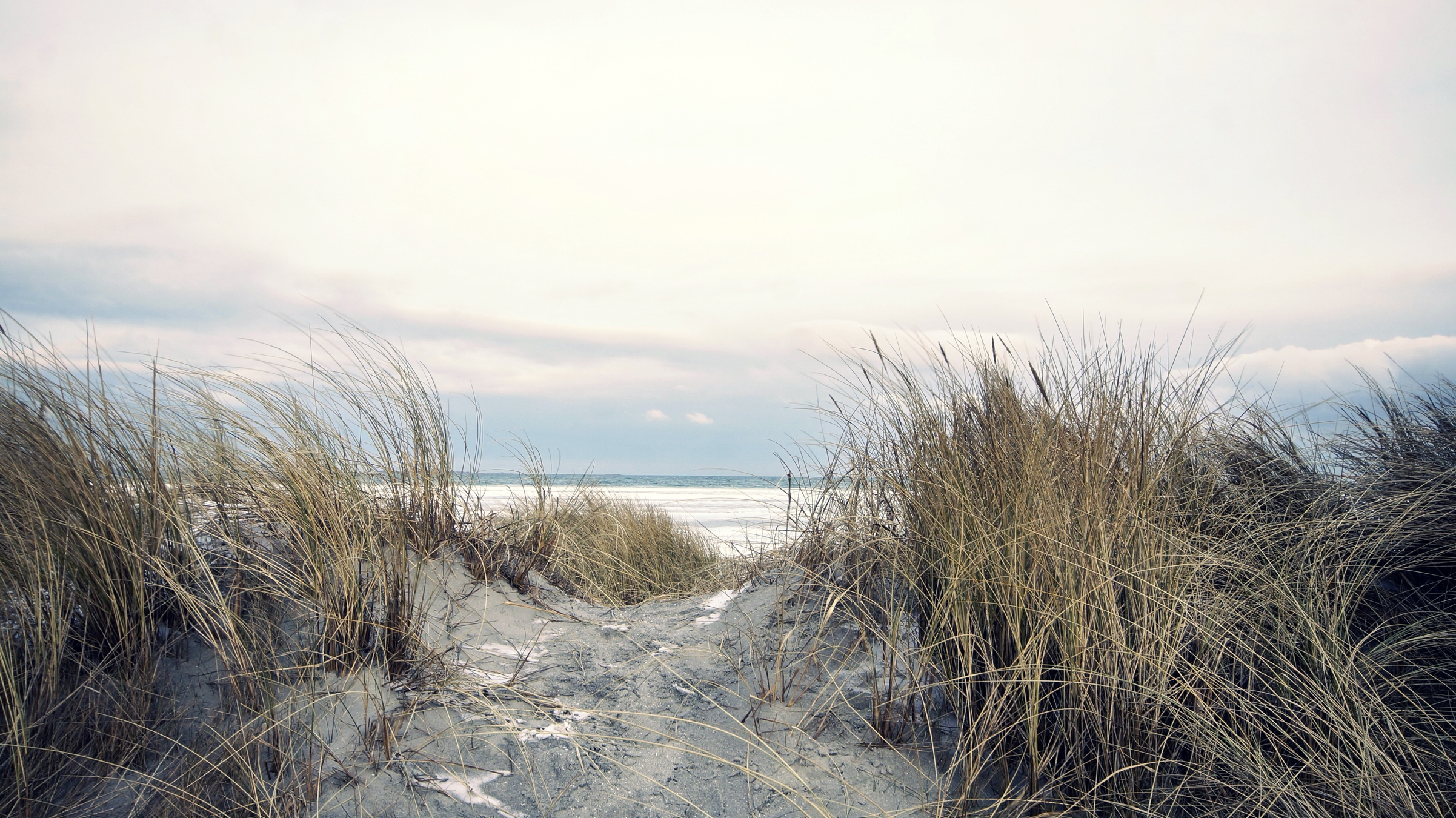 Himmel med skyer, hav og klit med marehalm