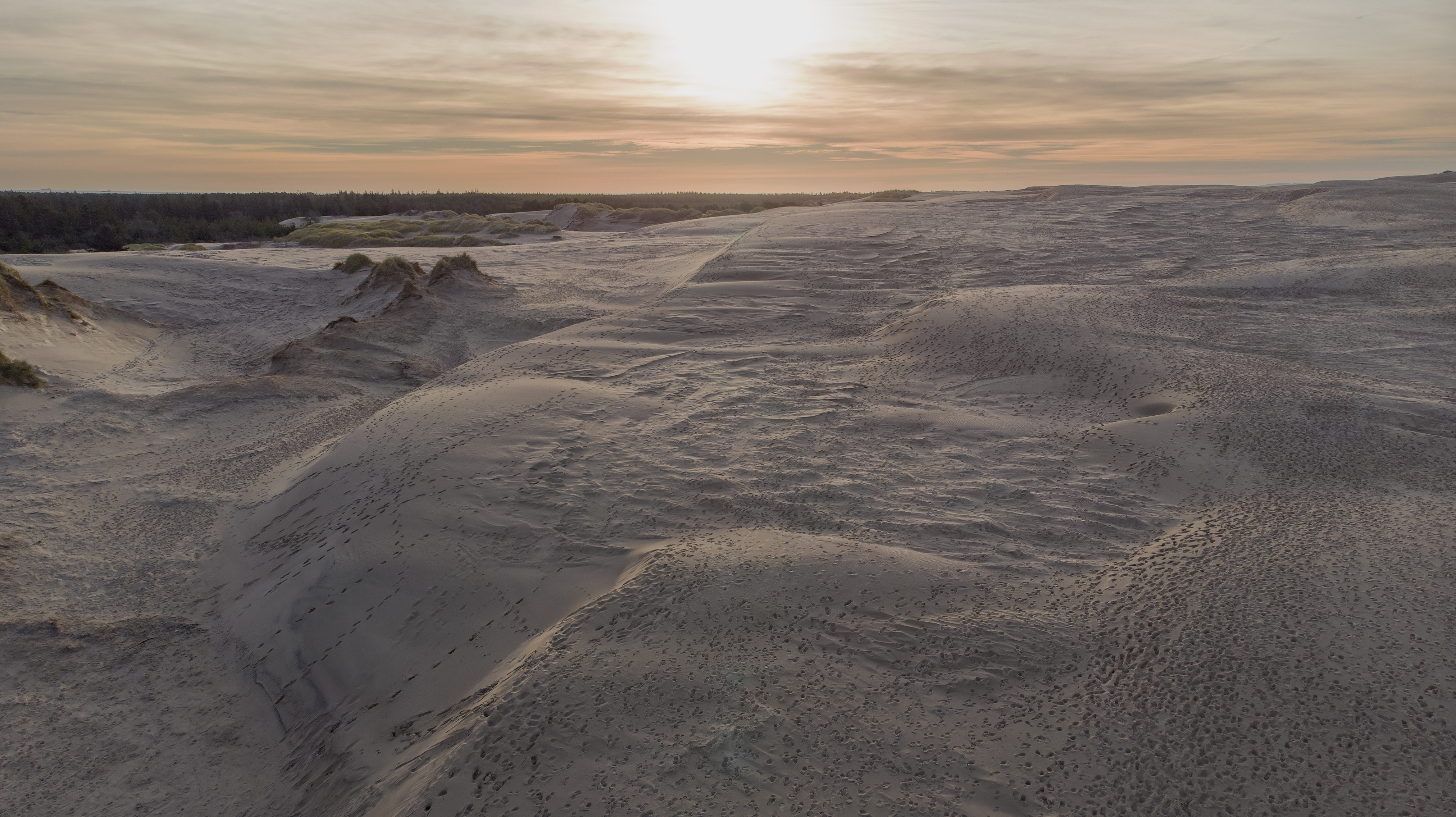 Råbjerg Mile en novembermorgen