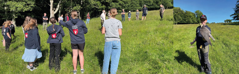 Junior Rangere samlet i lysning i skoven samt Junior Ranger med rovfulgt på armen.