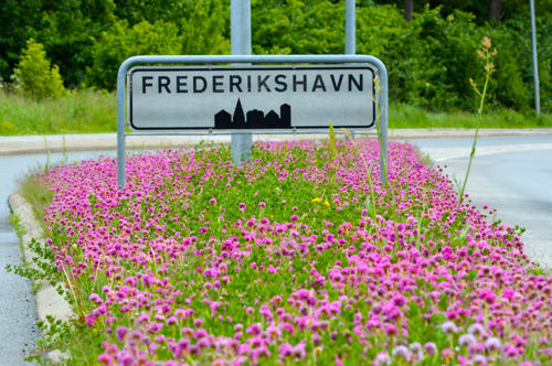 Engelsk græs under et byskilt