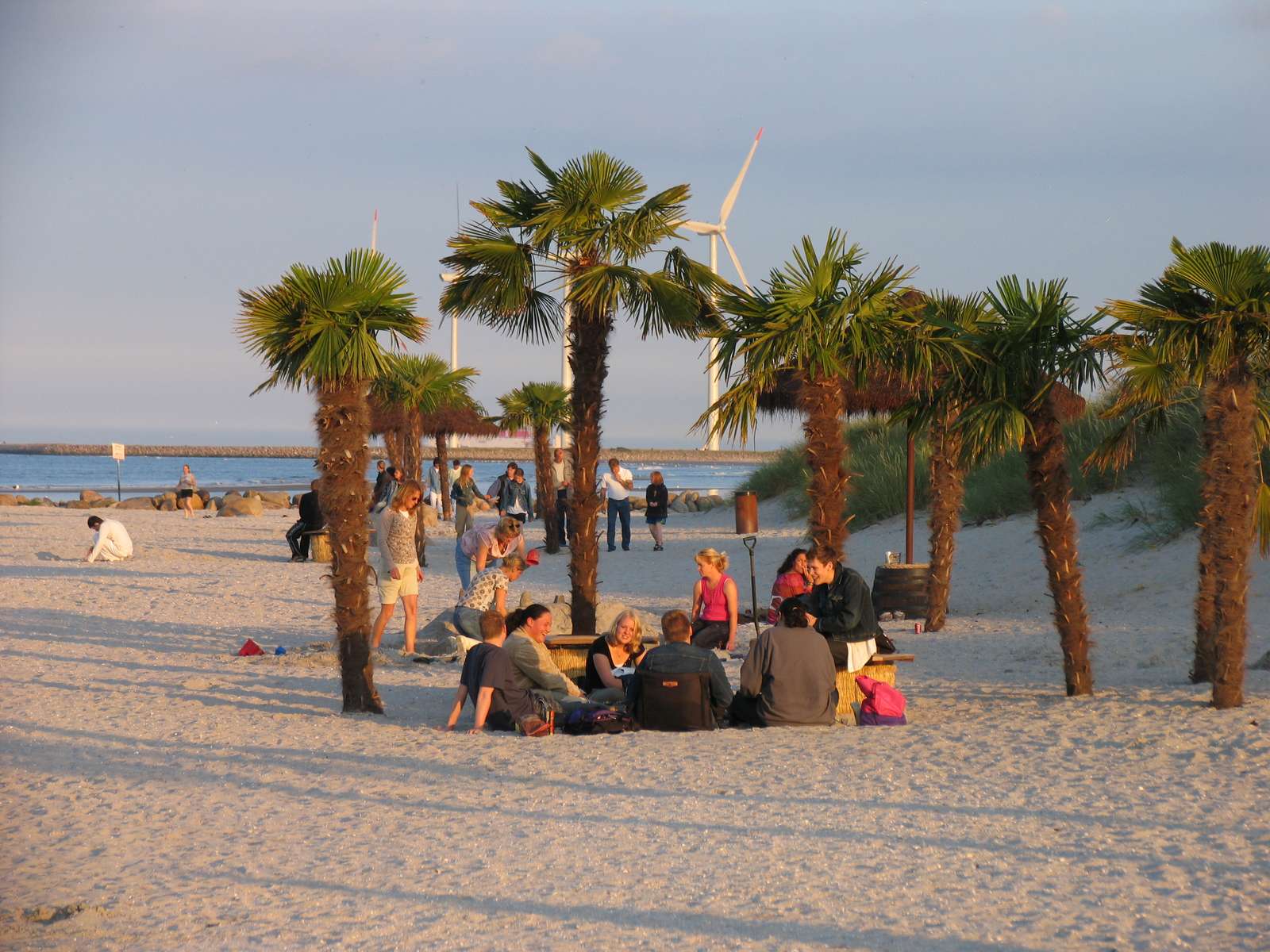Mennesker nyder solen på Palmestranden